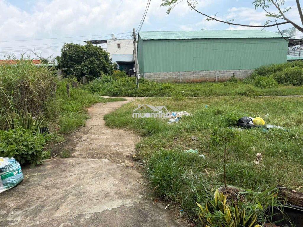 Bán đất thổ cư ngã tư hàm thắng, 190m² phường hàm thắng, tỉnh lâm đồng - 4