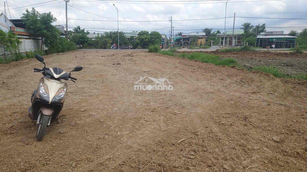 Cho thuê 5000m2 mặt tiền ql50 làm bãi xe nhà xưởng kho lạnh - 2