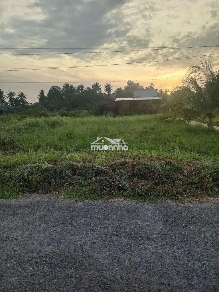 Bán đất chính chủ - Ảnh 3