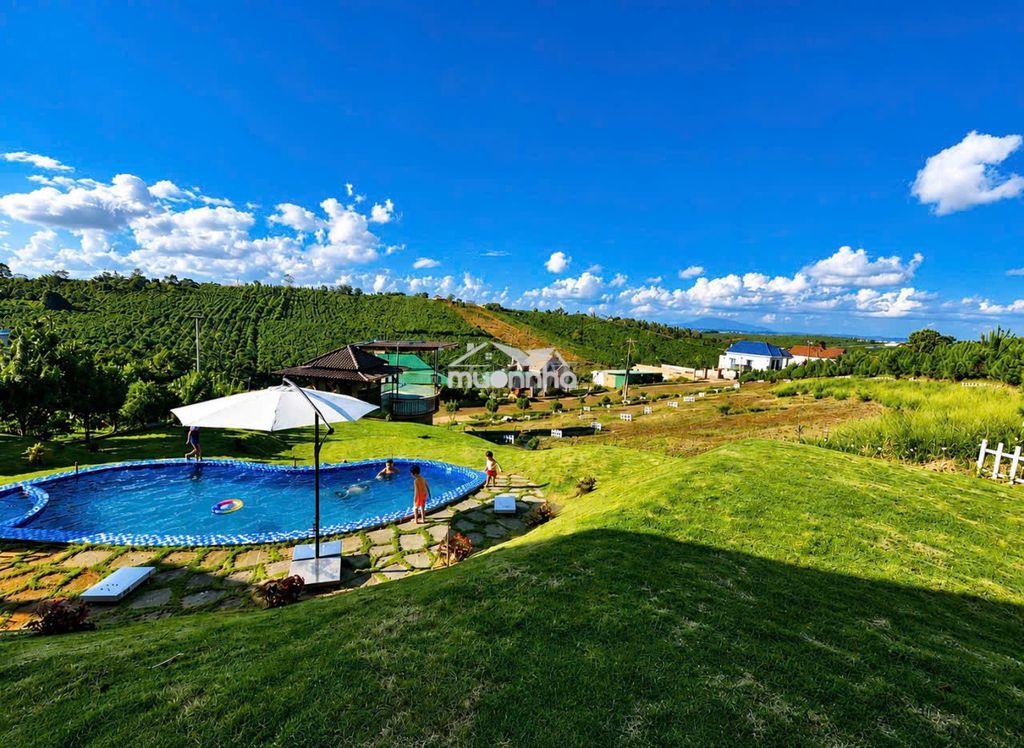 Bán homestay lộc quảng hill – bảo lộc - Ảnh 4