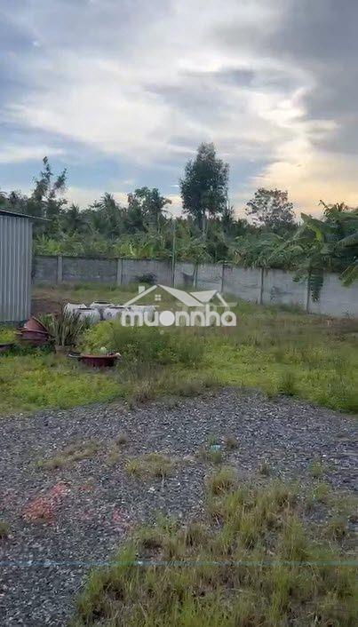 Bán đất mặt tiền vị trí đẹp tại bến tre vĩnh long - 4
