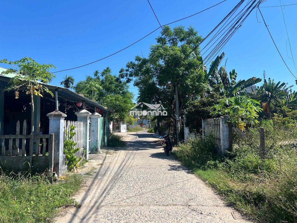 🧧 Đường chính hà đông - Ảnh 3
