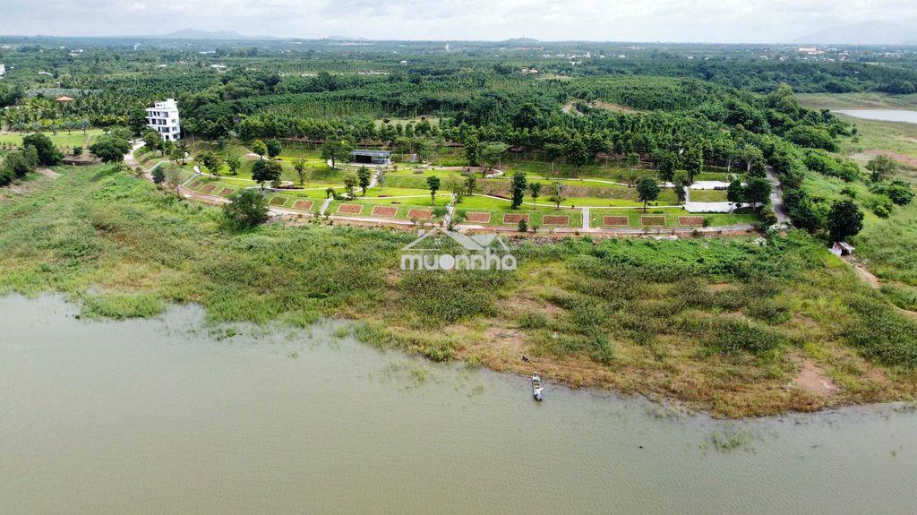 Đất mặt hồ sông ray – lâm san | 6.600m² – 4 thửa | giá chốt 13,2 tỷ - Ảnh 2