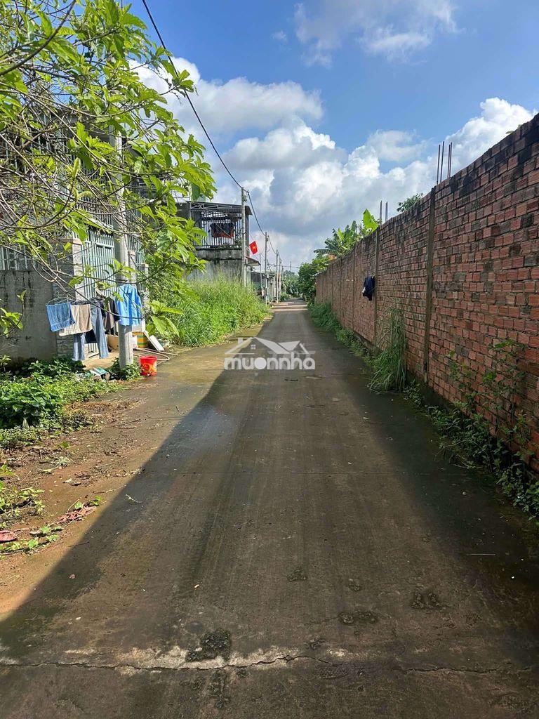 Đất hưng thịnh 102m² 2mt full thổ cư, gần pousung, kcn bàu xéo - 790tr - Ảnh 3