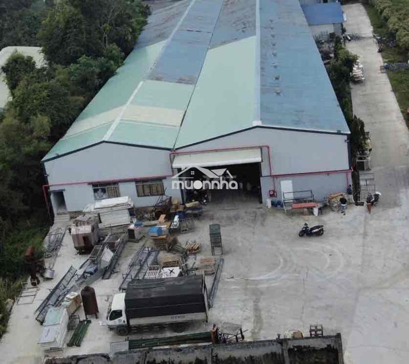 Cho thuê 9000m2 kv nhà xưởng  củ chi .