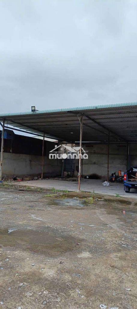 Cho thuê bãi xe thủ dầu một giá rẽ 4000m² có 500m² xưởng sẵn 3fa sx - Ảnh 2