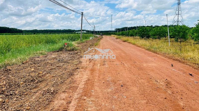 Bán 1000m2 đất gần mặt tiền đường đt785