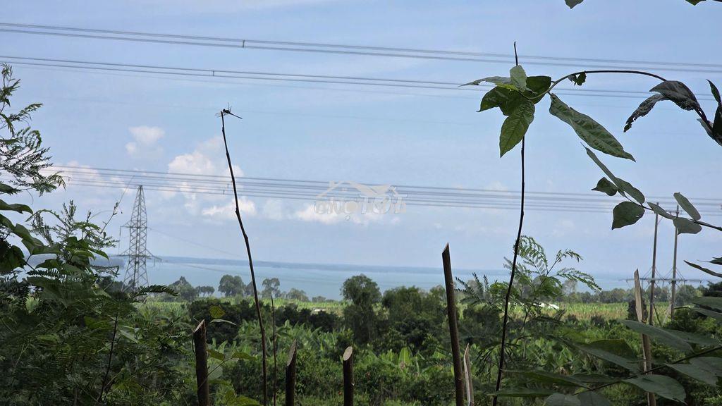 Đất vườn view hồ trị an – cách tp.hcm chưa đến 70km- 4000m2-980 triệu - Ảnh 4