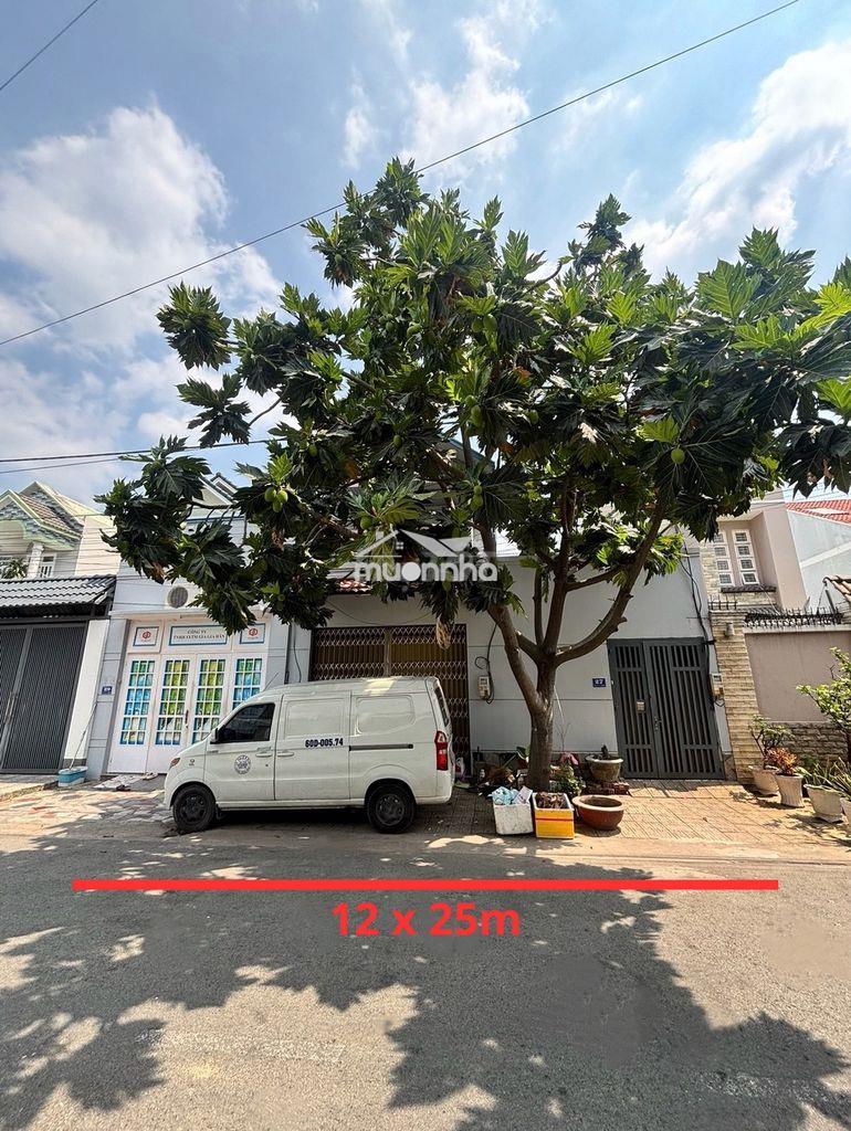 Chính chủ bán đất 12x 25m tại tân phong- giá 8.2 tỷ