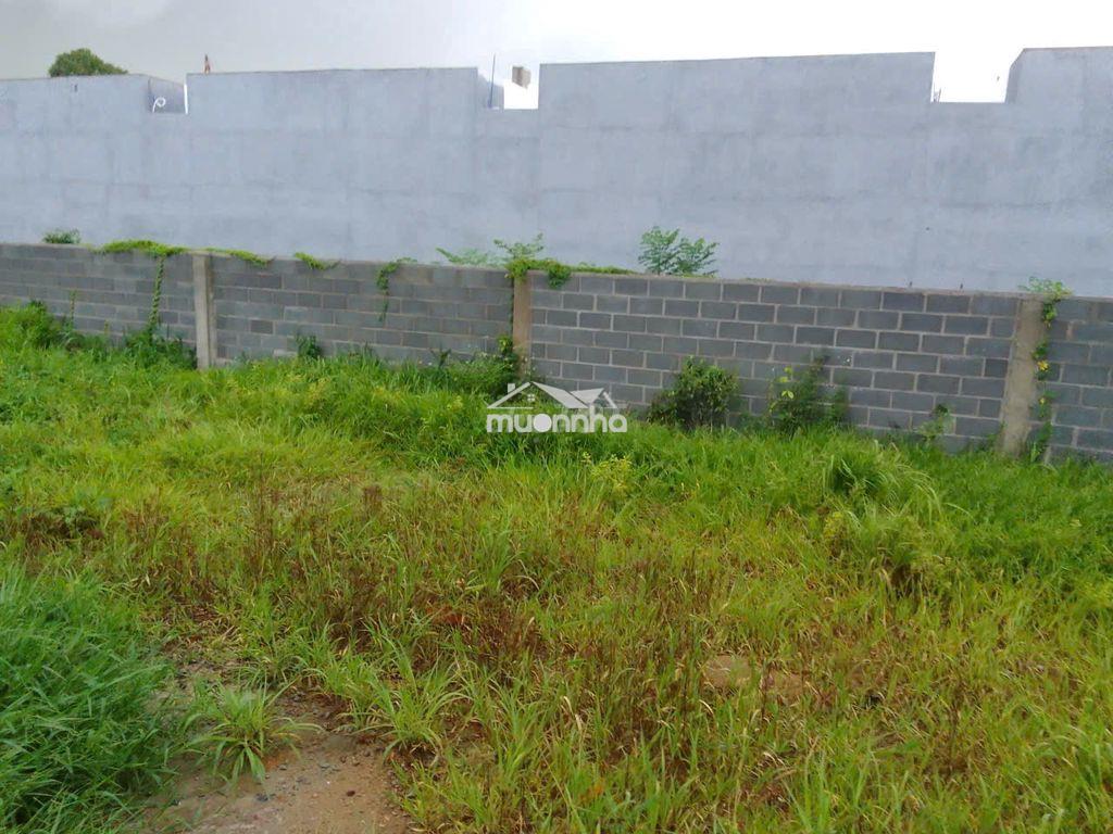 Bán đất 529m2 ở biên hòa, giá 3.3 tỷ, sổ hồng riêng - 3