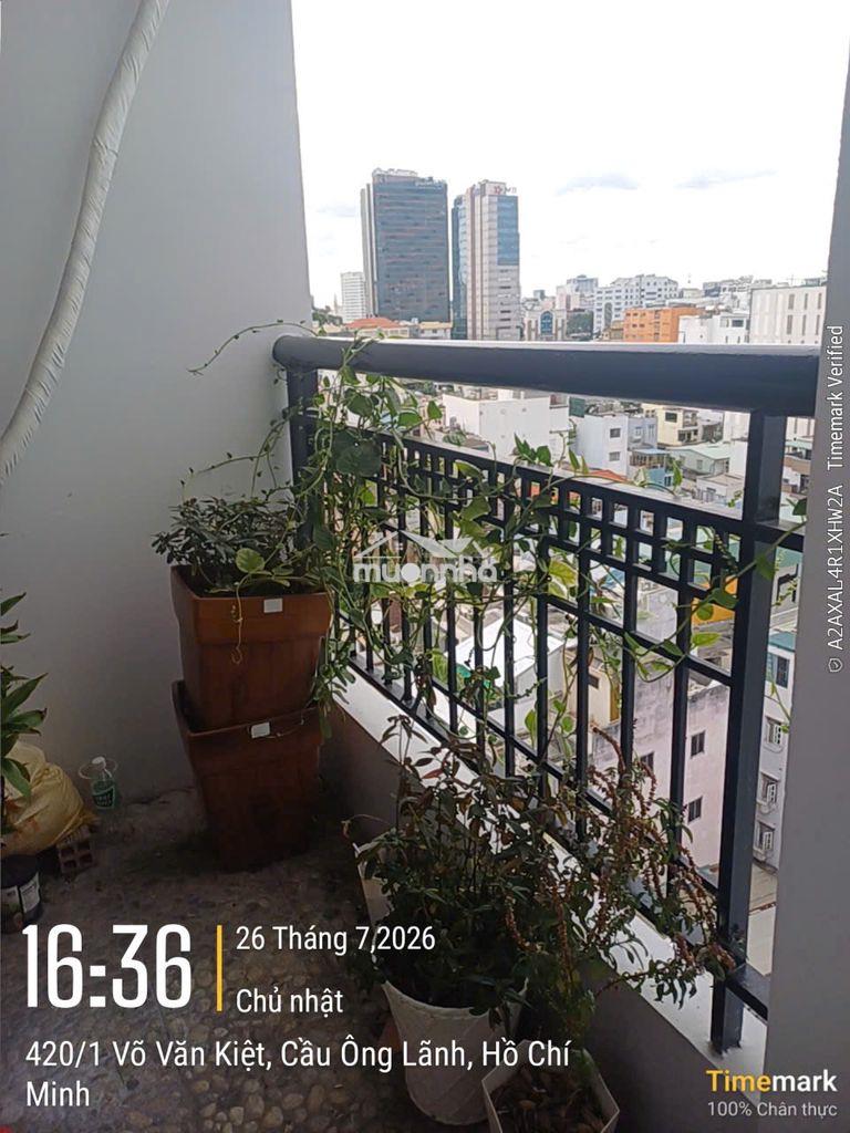 Bancong view sông - thế hệ mới quận 1 - ngoài ranh tod - Ảnh 3