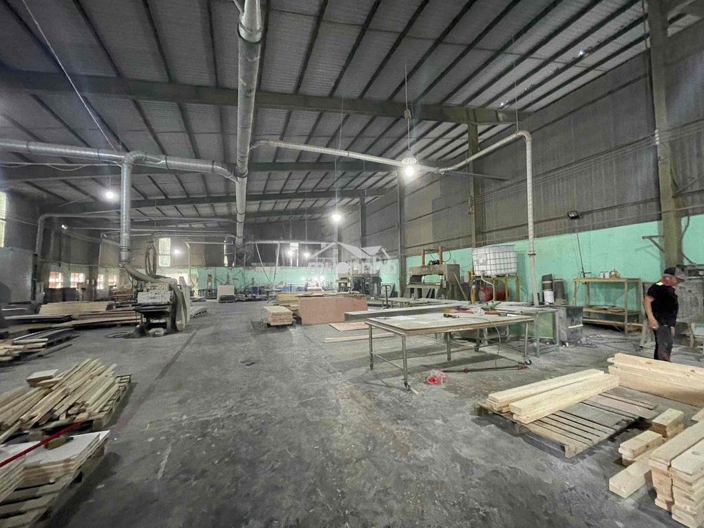 Cho thuê 9000m2 kv nhà xưởng  củ chi . - Ảnh 3