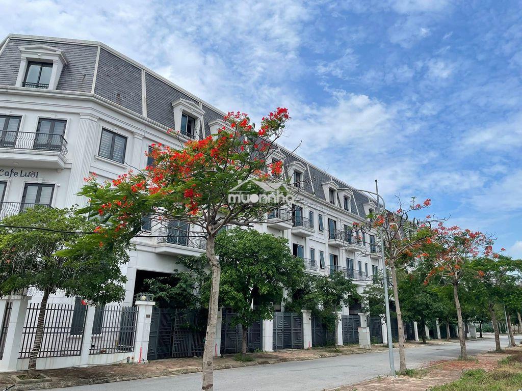 Cho thuê dài hạn 1–3 căn nhà xây thô lk1-(21-23) - Ảnh 2