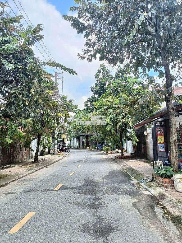 Dãy trọ tô ký - phạm thị giây hóc môn đang cho thuê thu 10 triệu tháng - Ảnh 2