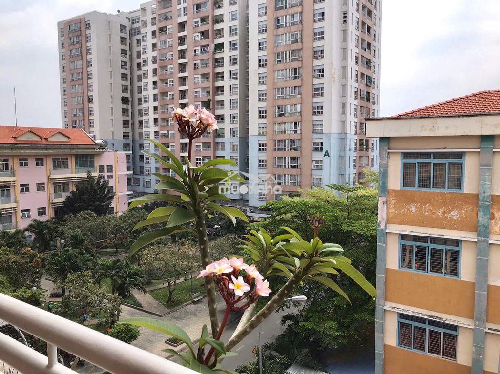 Chung cư tân bình 3 pn 11 triệu. - Ảnh 3