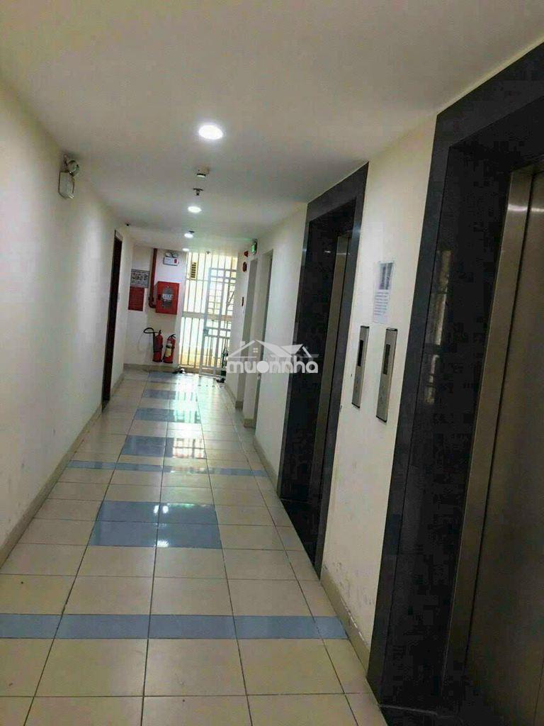 Căn hộ c.c đông hải 47m2 2pn / 2wc sổ hồng riêng - Ảnh 2