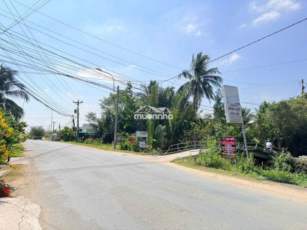 6 tỷ 6 -4822m2 -đất vườn ấp 1, bình đức, long an (tây ninh), đường oto - Ảnh 3
