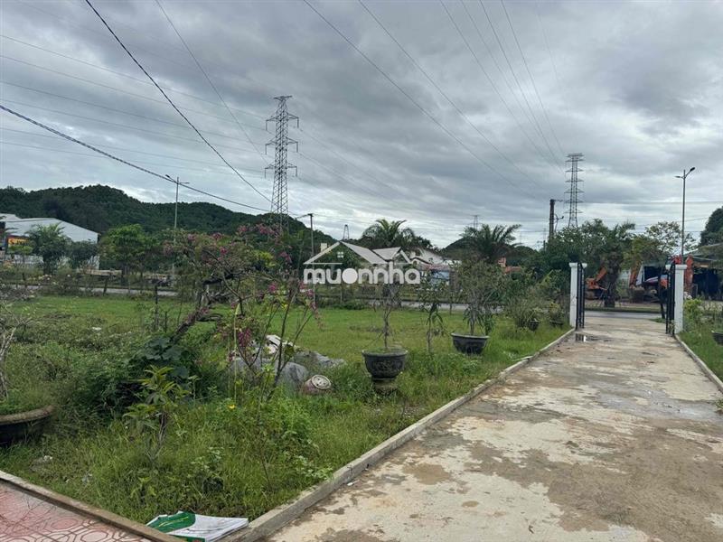 1 lô hoa hậu võ văn kiệt