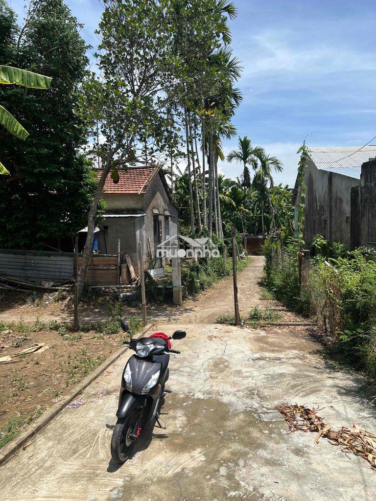 Sụp hầm đất chính chủ trung tâm thị trấn ái nghĩa - Ảnh 2