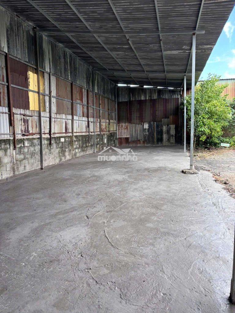 Cho thuê 500m có kho tôn 170m. đường liên ấp 26 vĩnh lộc a bình chánh - 2