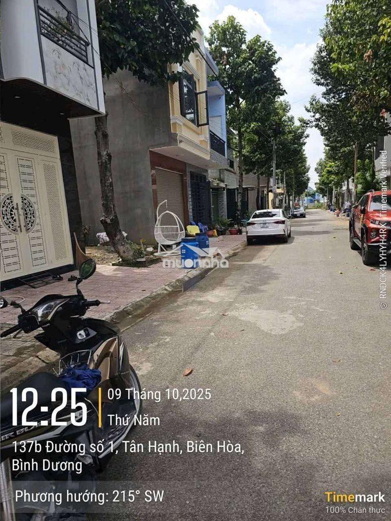 Bán đất tái định cư tân hạnh biên hòa đồng nai - 84m2 (4.2x20m) - Ảnh 2