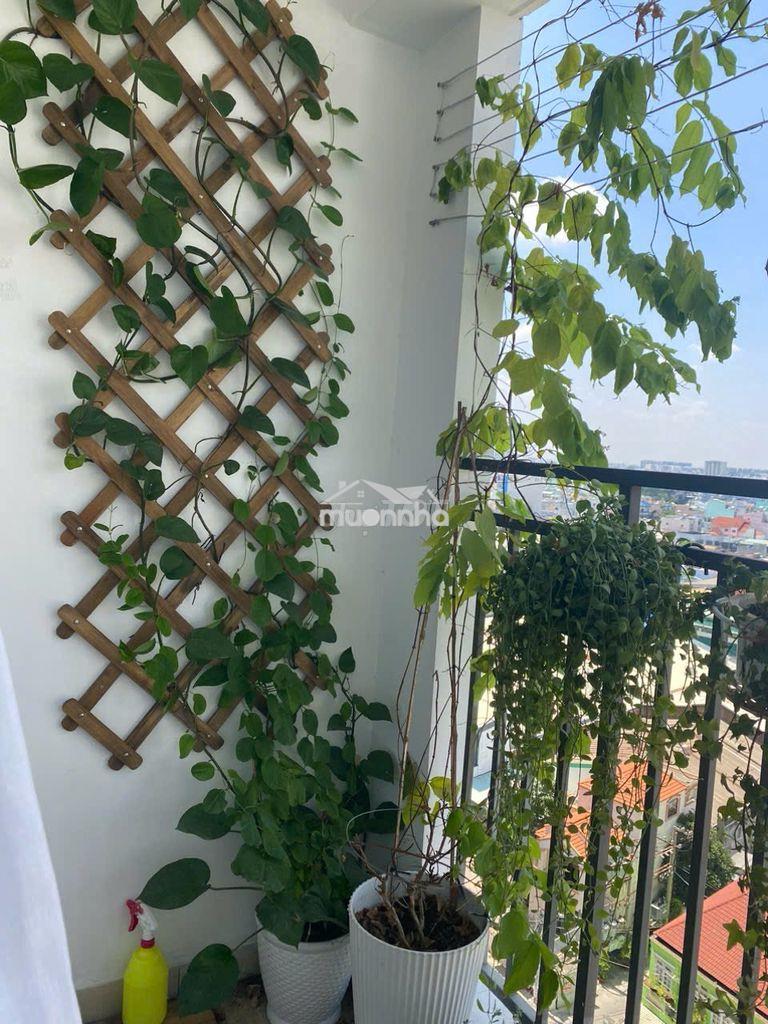 Cần bán căn hộ chung cư richstar 2 pn, 2 tl, view hòa bình - Ảnh 3