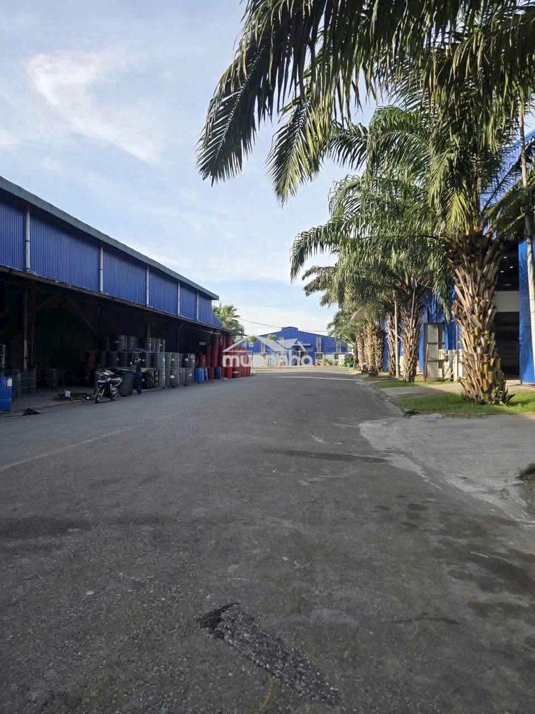 Cho thuê kho xưởng 2300m2 gần kcn vĩnh lộc, bình tân - Ảnh 4