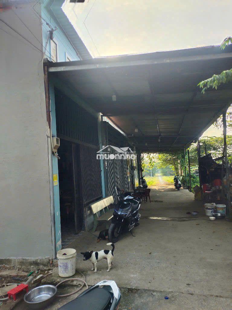 Bán nhà che tôn, hẻm d12 đường lê thị dung, vĩnh lộc a - Ảnh 3