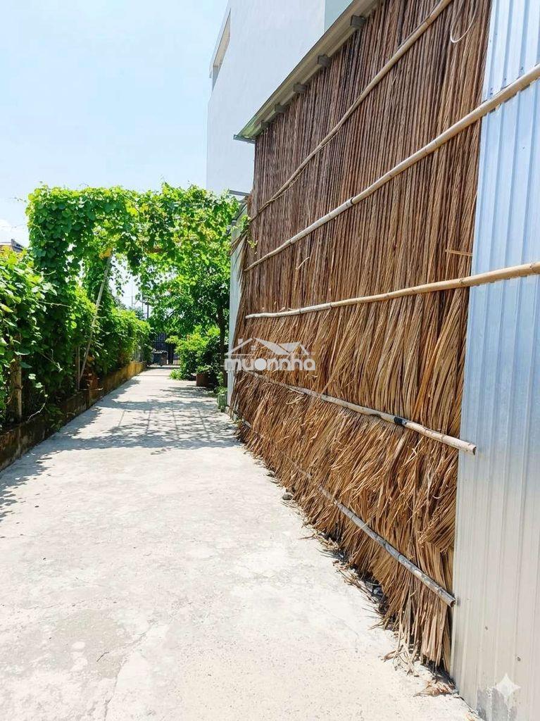Nhà vườn 220 m2 giá rẻ - Ảnh 3