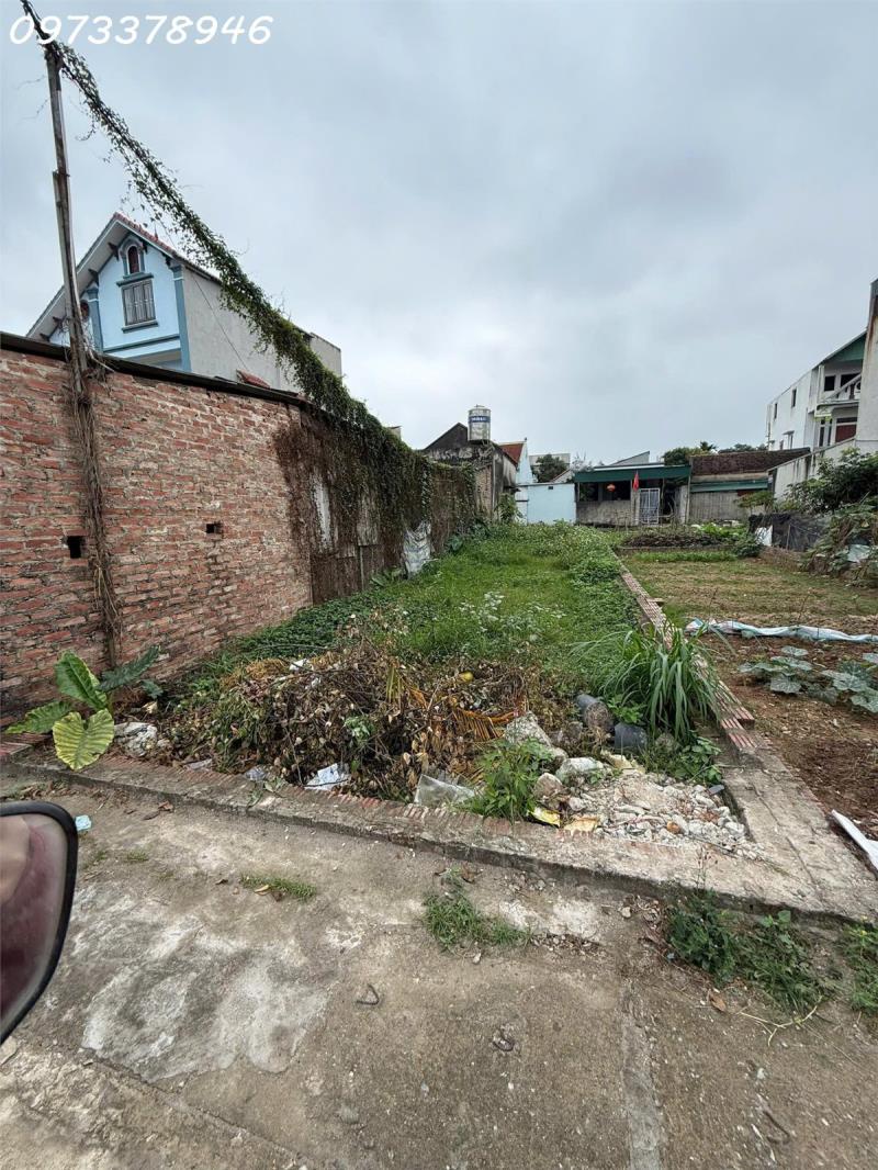 Chính chủ cần bán lô đất siêu đẹp tại xã quang tiến, sóc sơn, dt 63.3m2, giá đầu tư - Ảnh 2