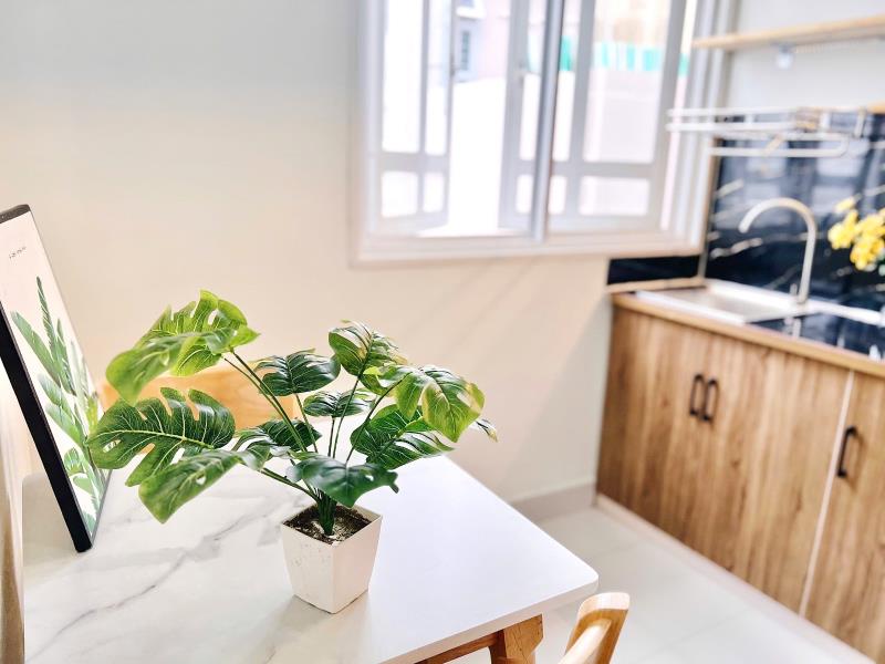 Căn hộ 1 phòng ngủ 45m2 thoáng xinh ngay hàng xanh giáp q1,q3- xô viết nghệ tĩnh, bình thạnh - Ảnh 4