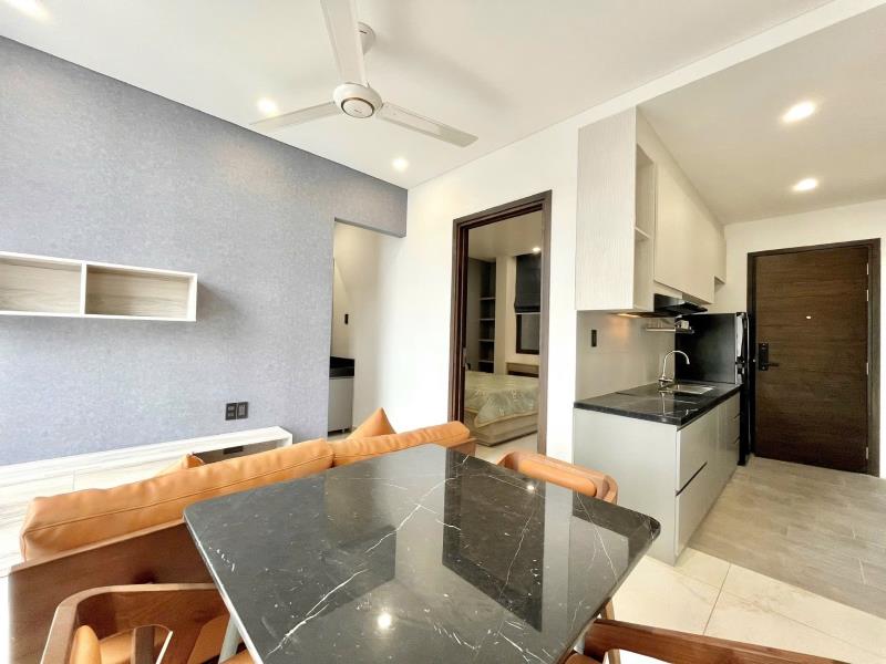 Cho thuê căn hộ 1pn gần vòng xoay lăng cha cả, sân bay tân sơn nhất, cv gia định - Ảnh 2