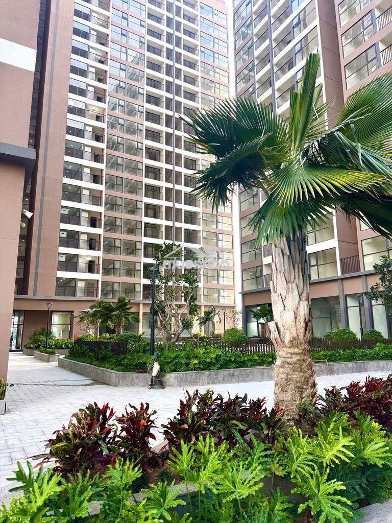 Cho thuê căn 72m2 c/c phú cường , q,12 giá 8tr.