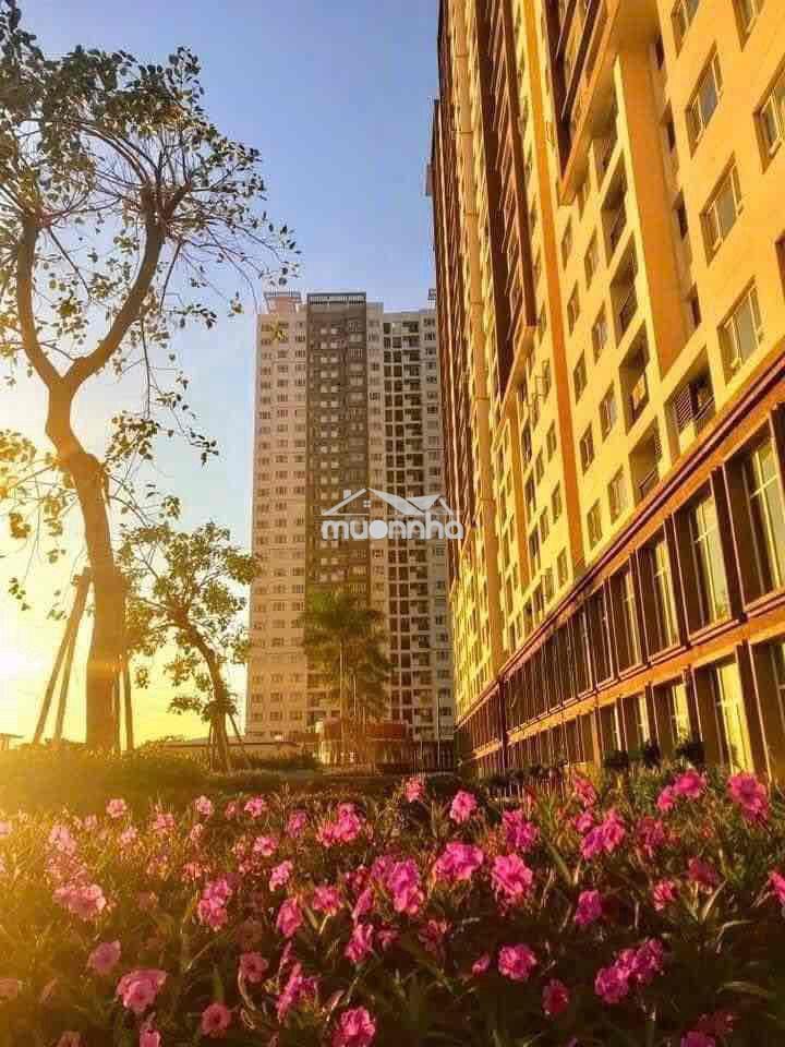 Chuyển nhượng the park 2pn 1wc 2.680 tỷ- đang nộp hồ sơ - Ảnh 2