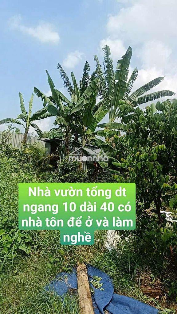 Nhà vườn 400m nhà + điện 3 pha đường kênh trung ương vĩnh lộc bv - Ảnh 2