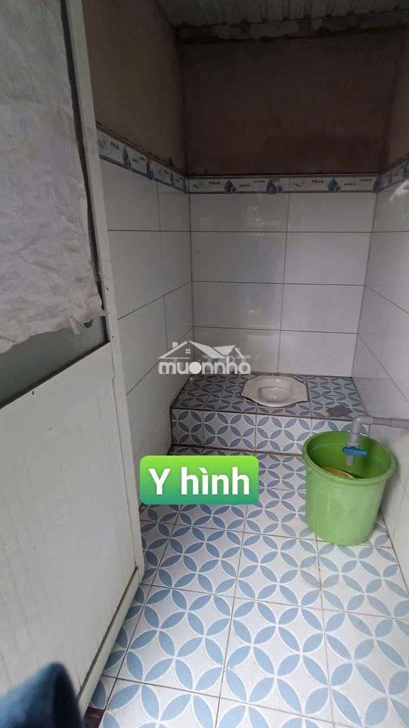 Nhà vườn trái cây 8*25 có nhà tôn đường kênh trung ương vĩnh lộc b - Ảnh 4