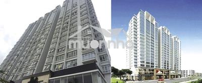 3 pn ch ngọc phương nam q8 cho thuê
