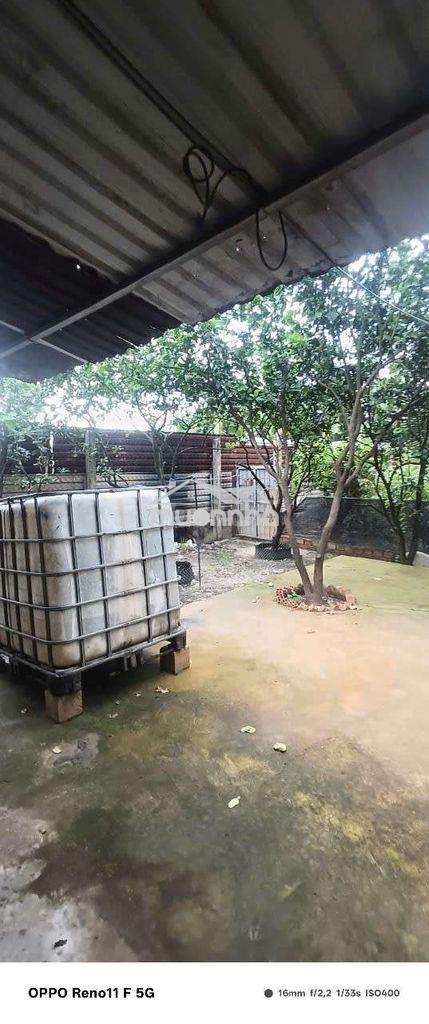 Cho thuê nhà vườn 300m có nhà tôn 48m đường kênh trung ương vĩnh lộc b - Ảnh 4