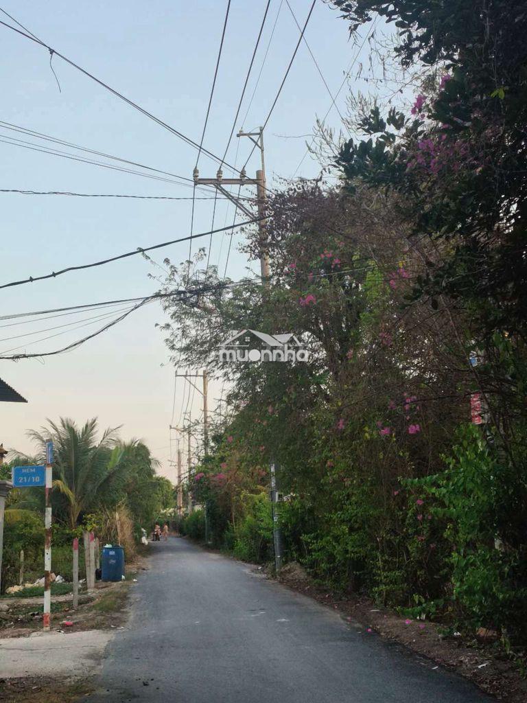 Nhà mới  - Ảnh 3
