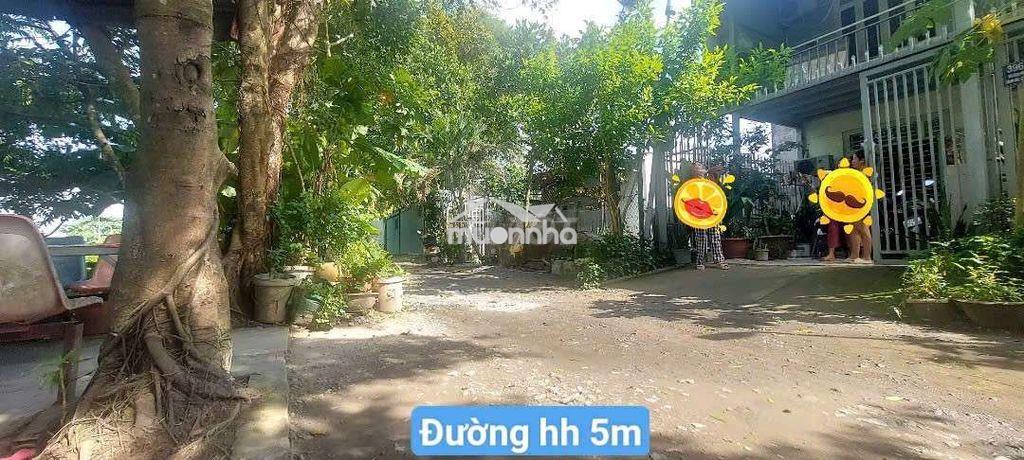 Nhà12,5×23m,tlcc,1xẹt tỉnh lộ9,về q12 7km - Ảnh 3