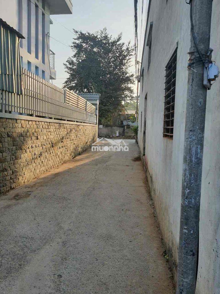 Cho thuê nhà nguyên căn 3x 6 đúc 1tấm , giá 2,5tr/tháng , ấp 1 - Ảnh 3