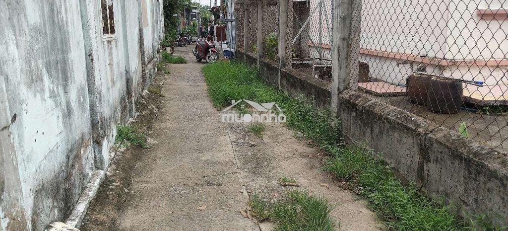 Bán nhà hóc môn - ô tô thông - dt khủng - giá cực rẻ - Ảnh 3