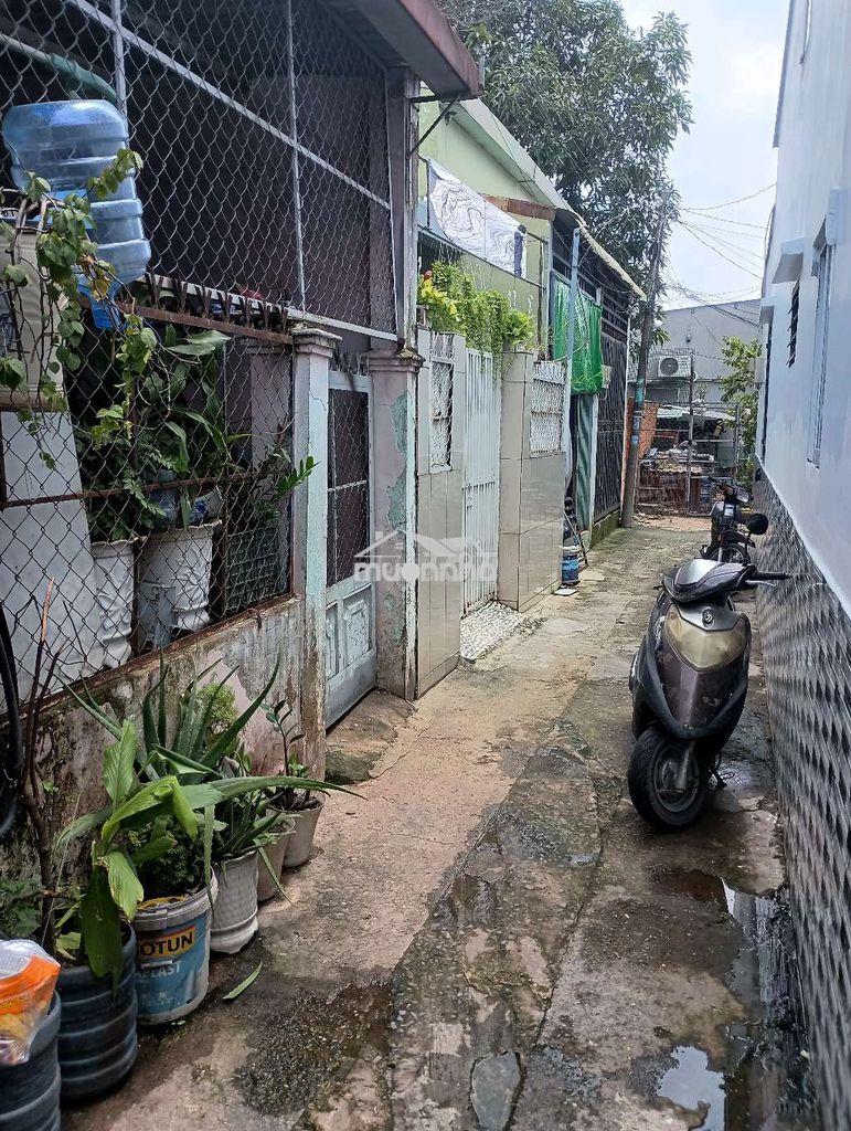 Bán gấp nhà cấp 4củ/thới tam thôn, hóc môn - Ảnh 2